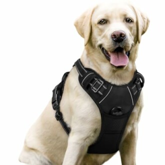 rabbitgoo Dog Harness No Pull